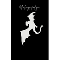 Black Wing and Shadows Special Edition: Book One of the Sandorg Chronicles